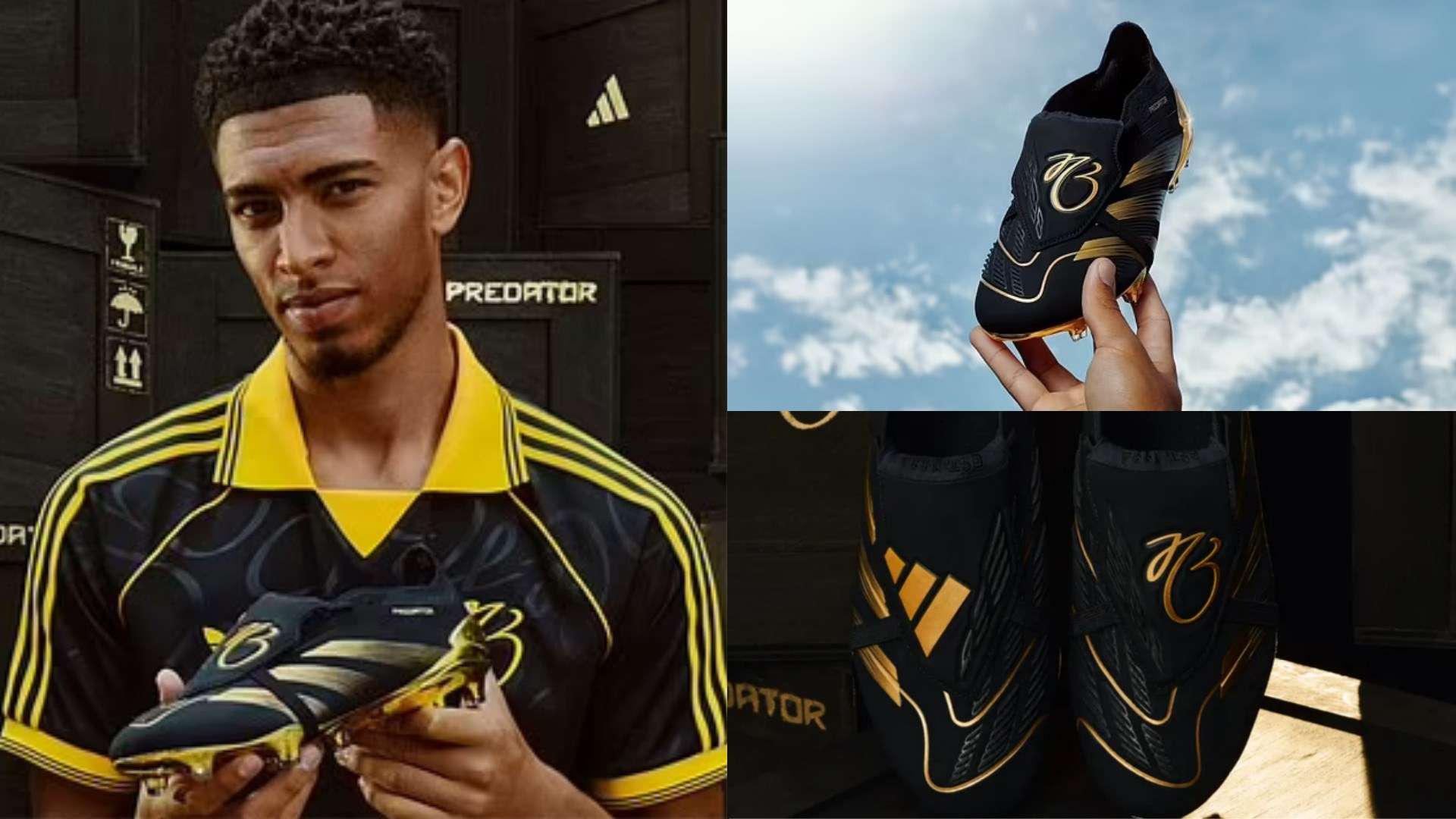 積極行動 積極行動