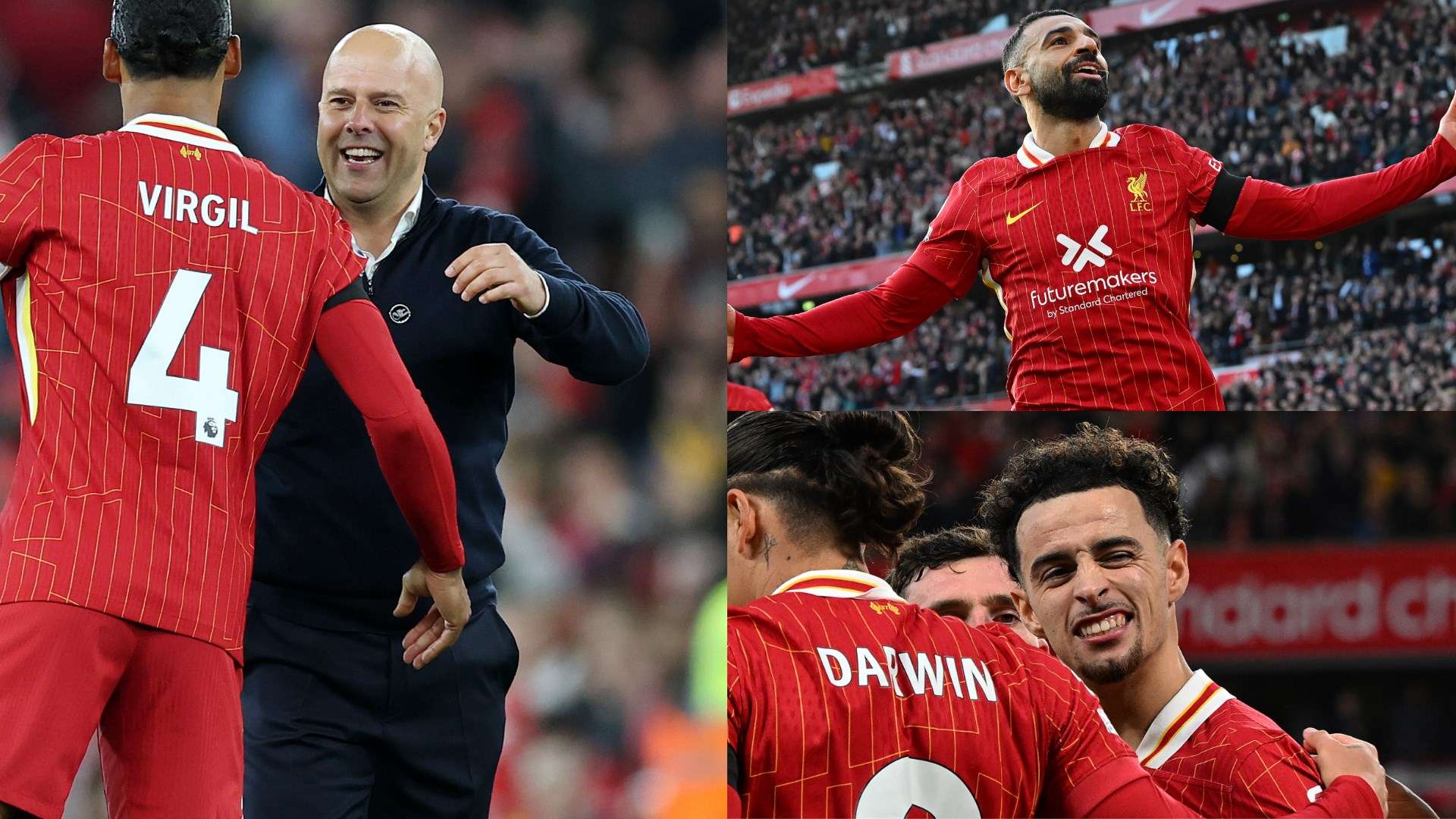 清的直播体 清的直播体