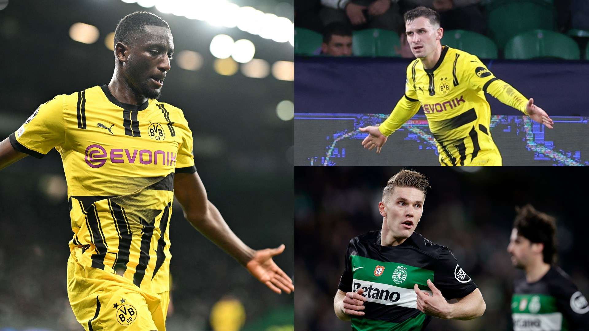 比锡红牛之 比锡红牛之